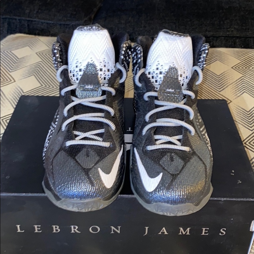 LEBRON 12